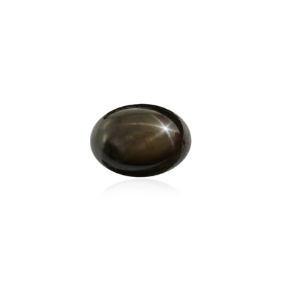 Edelsteen met een zwarte ster saffier 1,305 ct