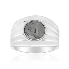 Zilveren ring met een Aletai meteoriet