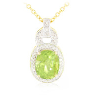 Gouden halsketting met een Paraiba toermalijn (AMAYANI)