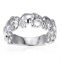 Zilveren ring