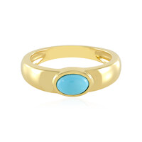 Zilveren ring met een Sleeping Beauty Turkoois