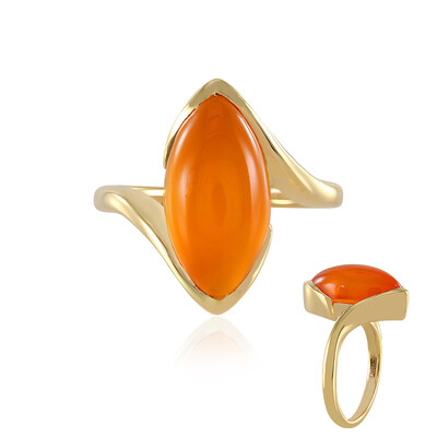 Zilveren ring met een carneool