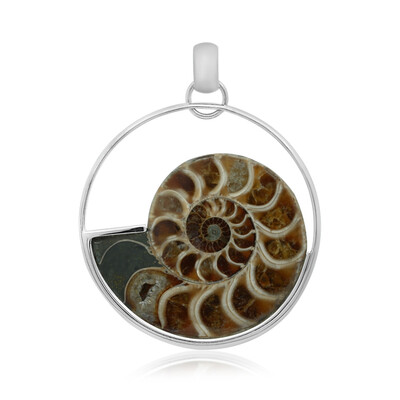 Zilveren hanger met een ammoniet