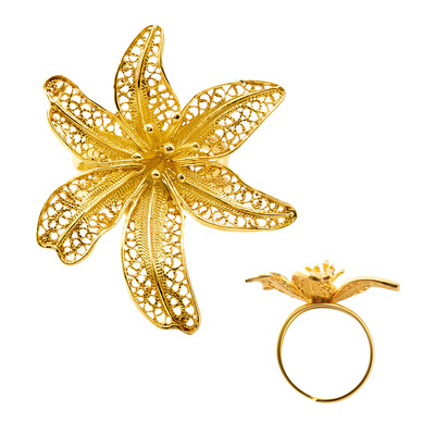 Zilveren ring (Joias do Paraíso)
