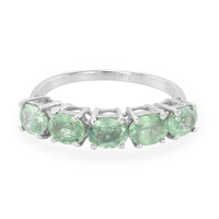 Zilveren ring met Munt Kyanieten
