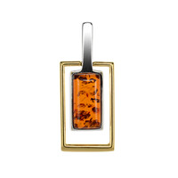 Zilveren hanger met een Baltische barnsteen