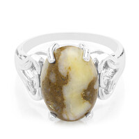 Zilveren ring met een dinosaurus kwarts