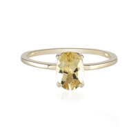 Gouden ring met een gouden beril