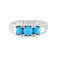 Zilveren ring met een Sleeping Beauty Turkoois (Anne Bever)