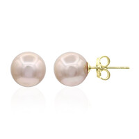 Zilveren oorbellen met roze Ming parels (TPC)