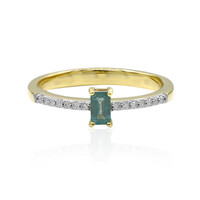 Gouden ring met een Grandidiriet (AMAYANI)