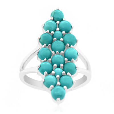 Zilveren ring met Campitos Turkooisen (Anne Bever)