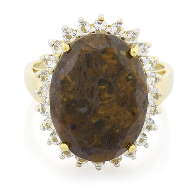 Zilveren ring met een dinosaurus kwarts