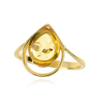 Zilveren ring met een Baltische barnsteen