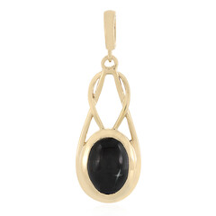 Zilveren hanger met een Indische Ster Diopsied
