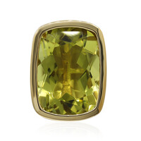 Zilveren hanger met een Ouro Verde kwarts
