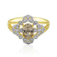 Gouden ring met een Hartsiet Zirkoon (Mark Tremonti)