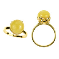 Zilveren ring met een Baltische barnsteen