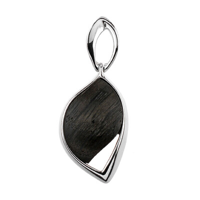 Zilveren hanger met een Veeneik (dagen)