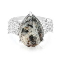 Zilveren ring met een Astrophyliet
