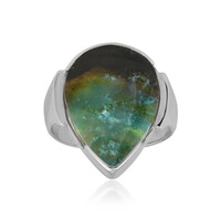 Zilveren ring met een versteend geopaliseerd hout (Bali Barong)