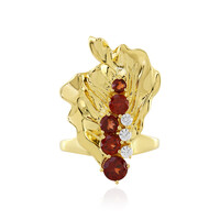 Zilveren ring met een Mozambique granaat (SAELOCANA)