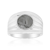 Zilveren ring met een Aletai meteoriet
