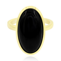 Zilveren ring met een onyx
