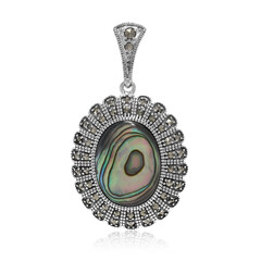 Zilveren hanger met een Abalone schelp