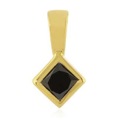 Zilveren hanger met een zwarte diamant