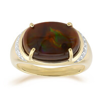 Gouden ring met een vuur agaat