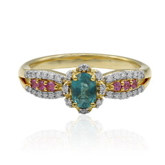 Gouden ring met een Grandidieriet (AMAYANI)