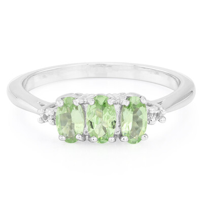 Zilveren ring met Merelani munt granaten