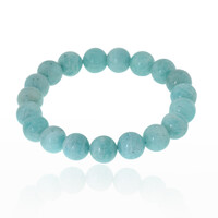Armband met amazonieten