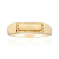 Zilveren ring