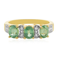 Zilveren ring met Munt Kyanieten