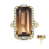 Gouden ring met een toermalijn (AMAYANI)