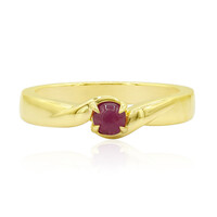 Gouden ring met een Groenland Robijn