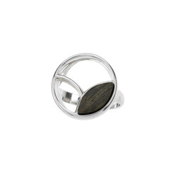 Zilveren ring met een Veeneik
