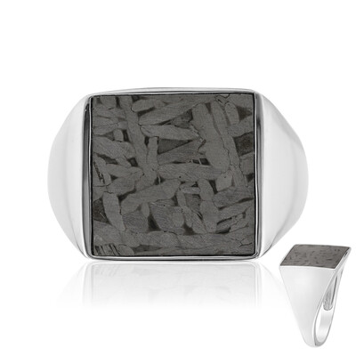Zilveren ring met een Aletai meteoriet