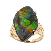 Gouden ring met een ammoliet (de Melo)