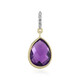 Gouden hanger met een amethist