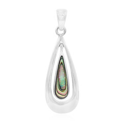 Zilveren hanger met een Abalone schelp