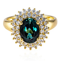 Gouden ring met een Braziliaanse indoliet