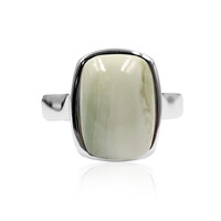 Zilveren ring met een serpentijn