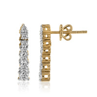 Gouden oorbellen met IF Diamanten (D)