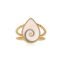 Zilveren ring met een Shiva oog (Bali Barong)