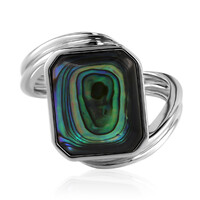 Zilveren ring met een Abalone schelp