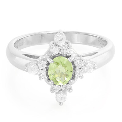 Zilveren ring met een Paraiba toermalijn