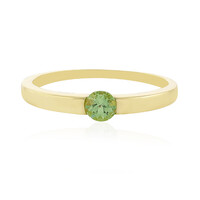 Gouden ring met een Merelani munt granaat